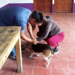 Campaña de Vacunación Antirrábica