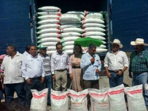 Mercado de exportación