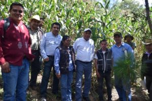 Santo Domingo Tepuxtepec