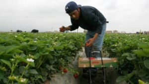 Debe México proteger derechos