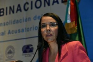 María de los Ángeles Fromow Rangel, ex titular de la Secretaría Técnica para la Implementación del nuevos Sistema Penal Acusatorio.