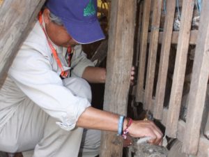 Recomiendan limpieza de la casa, dormitorios y grietas de paredes.