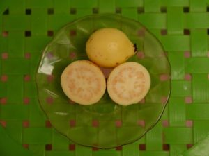 Exhotan a consumir variedad de frutas y verduras para mejorar las defensas del cuerpo.