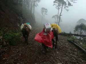Norte y centro del país