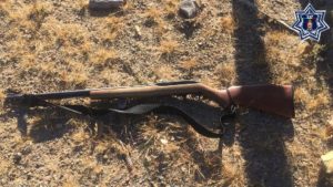 Portación de arma de fuego