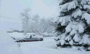 Bajas temperaturas en la frontera norte