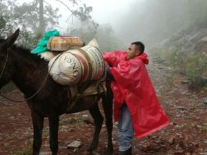 Zonas gélidas de Veracruz