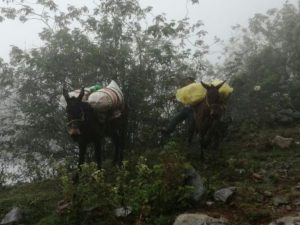 Abastecen de alimentos a zonas donde el frío cala hasta los huesos.