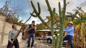 Torrentes ventarrones