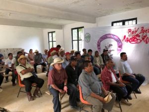 Con estos encuentros se estableció un vínculo directo entre empresarios de Nestlé y productores mazatecos.