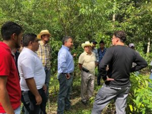 Fortalecerán comercialización