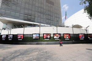 Según el calendario asiático, este animal significa carisma y bondad.