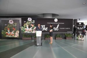 Senado de la República