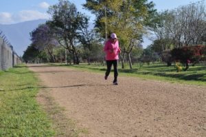 Opción favorita para entrenamiento