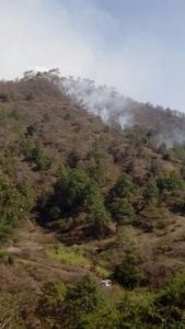 Consume predios de comunidades de Santa María Yohueche y Santa María Tavehúa.