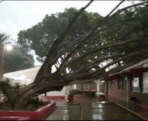 Pide CEPCO mantener la calma