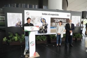 Las piezas, que representan animales salvajes, son muestra de la biodiversidad de Chiapas.