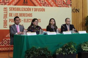 Defensora Pública Electoral para Pueblos y Comunidades Indígenas