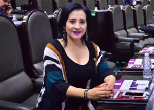 Diputada federal de Nueva Alianza