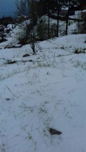 Para dos municipios de Oaxaca