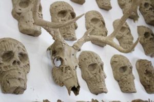 365 cráneos humanos de resina y barro y dos cráneos originales de venado muestran “El muro”.