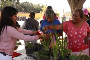 Santa Cruz Xoxocotlán