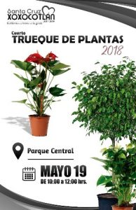 La actividad busca crear conciencia en la población sobre los problemas del cambio climático.