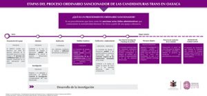 Por supuestas simulaciones de coaliciones y partidos en la postulación de 17 candidaturas transgénero.