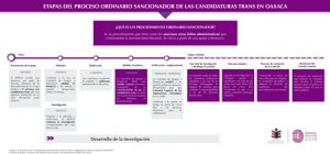 “Estamos desahogando las etapas que marca la ley en este procedimiento".