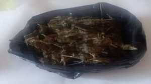 Decomisan 440 gramos de hierba seca, al parecer marihuana.