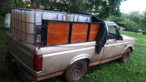 Fueron puestos a disposición de la Agencia del Ministerio Público del Fuero Federal.