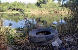 Exhortan a participar en campañas de descacharrización.