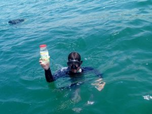Continuarán realizando las verificaciones pertinentes en la Costa oaxaqueña.