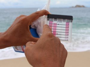 Se obtuvieron muestras en agua de mar