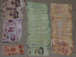 Por delitos federales