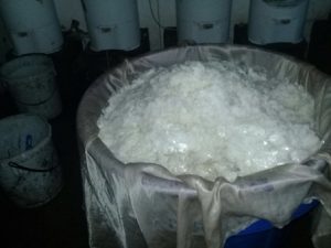 En distintas acciones en cuatro estados