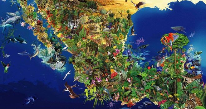 México emprende acciones para conservar la biodiversidad