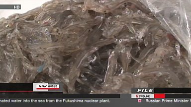 Suspenden pesca en Ibaraki Japón, por radiactividad