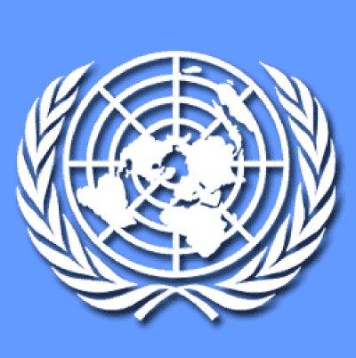 Se estrella avión de la ONU, 10 muerto y 16 heridos