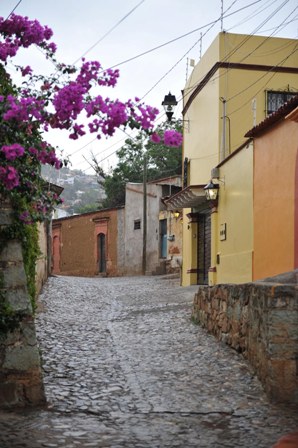 Rescatarán barrio de Xochimilco