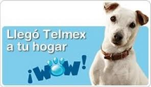 Telmex podra ofrecer servicio de televisión de paga, gana amparo