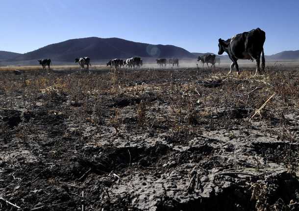 Amenaza la sequía a 806 municipios del país