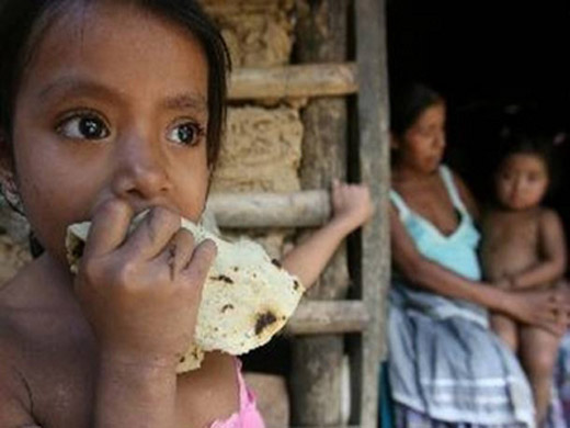Supera Brasil a México en el índice de bienestar de la OCDE*