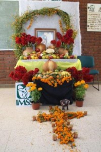 Convoca IMSS-Oaxaca a concurso