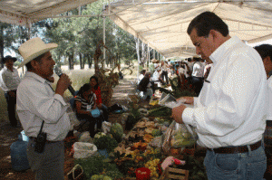 Participan productores de Oaxaca y Chiapas