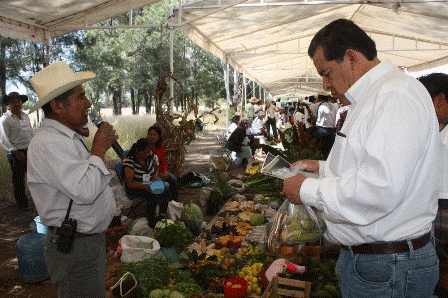 Participan productores de Oaxaca y Chiapas