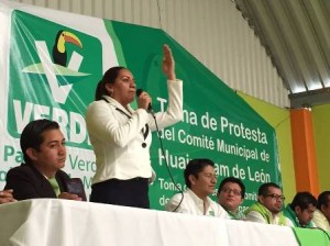 Líder estatal del Partido Verde Ecologista de México