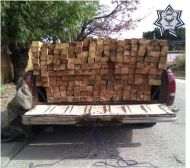 Aseguran camioneta que trasladaba madera de forma ilegal en Oaxaca