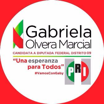 Se deslinda candidata a diputada del PRI, Gabriela Olvera, de camión con despensas que se accidentó