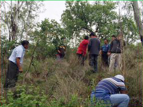 Realizan Segunda Campaña de Reforestación en el Cerro del Fortín, en Oaxaca